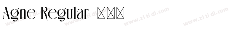 Agne Regular字体转换